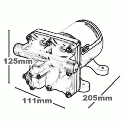 SHURFLO 4009 12V WATER PUMP CARAVAN 11 L P/M 45PSI 040860 JAYCO -RV Accessories Store 12 029a191d 2e48 422d 953e 89cf81d27e59